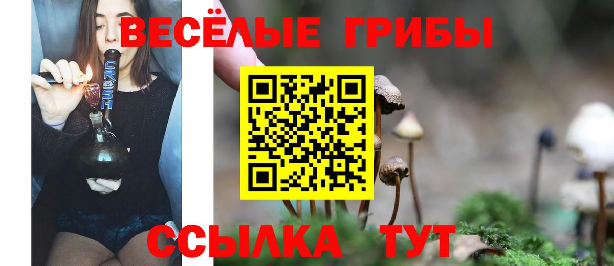 Псилоцибиновые грибы Magic Shrooms Старый Оскол